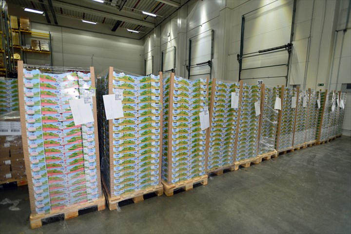 《西宮市》週払いOK・倉庫内での冷蔵、冷凍食品の入出庫作業スタッフ！（未Web面接OK・週3～相談可）